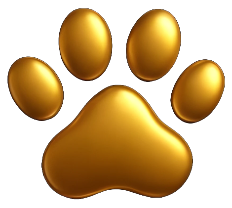 Guldhammerpetcare.dk - CVR 43592286