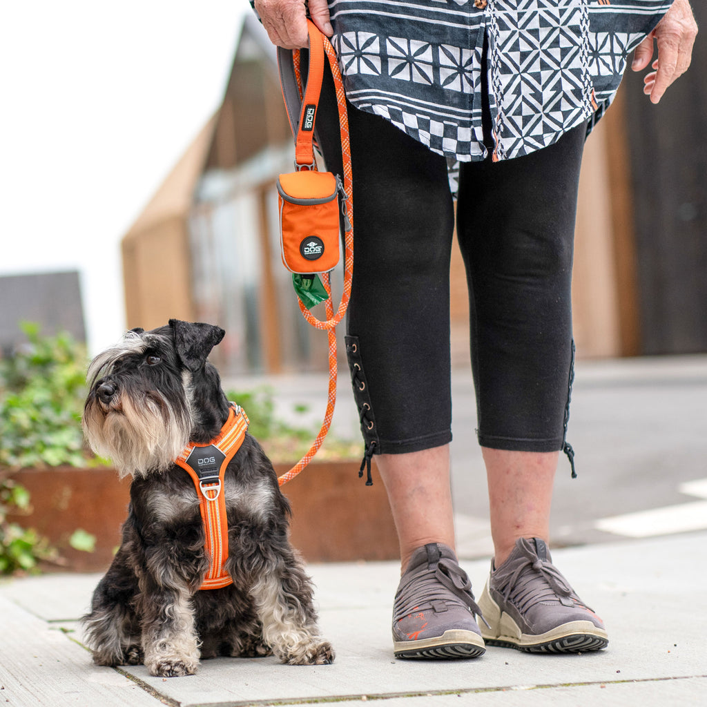 Dog Copenhagen Pouch Organizer™ Leash Bag