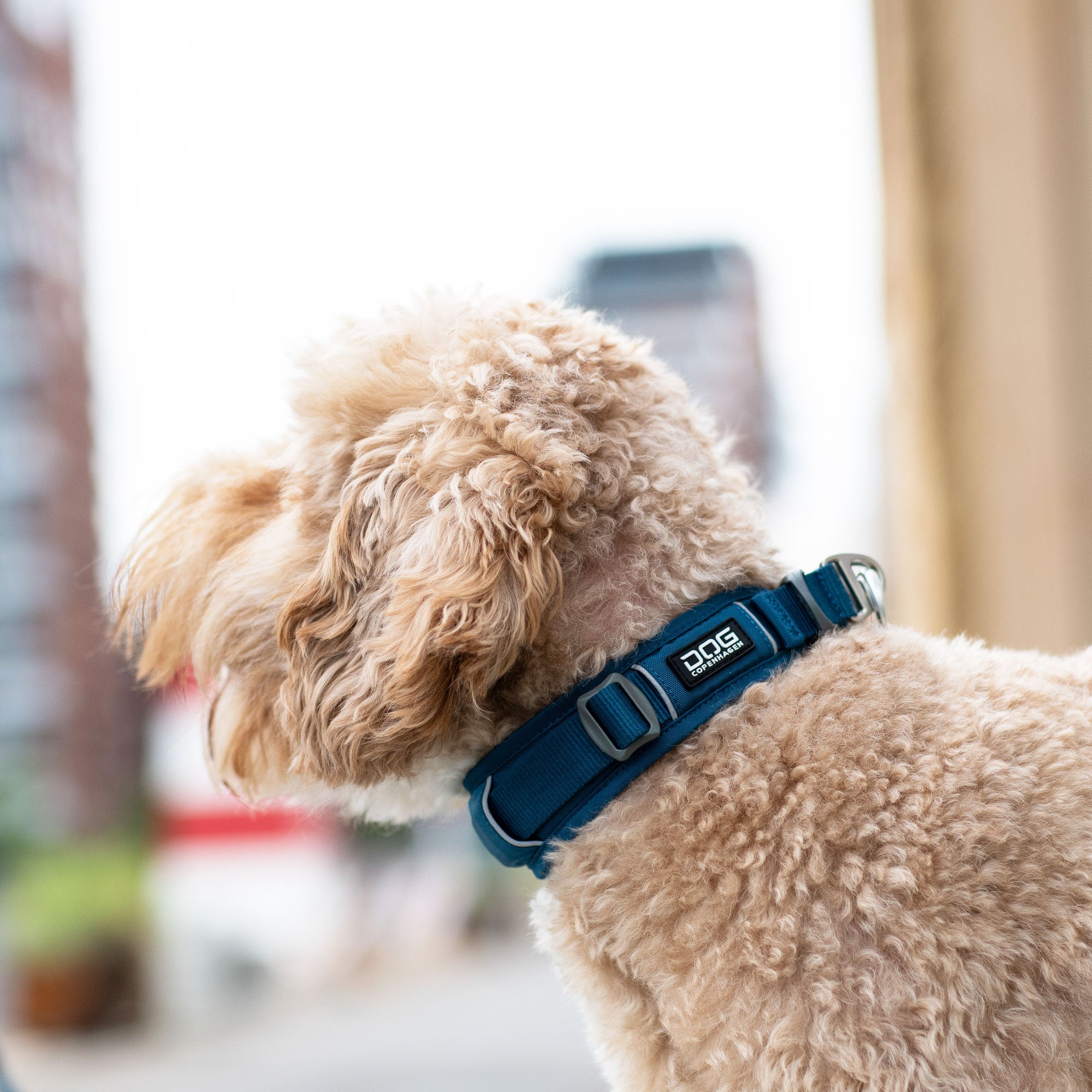 Dog Copenhagen Urban Explorer™ Collar