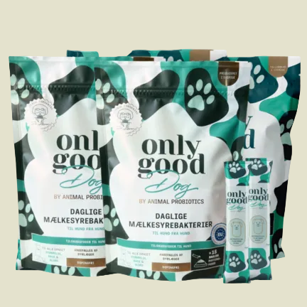 OnlyGoodDog – Large pakke – 60 portioner